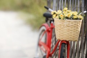 Red Bicycle